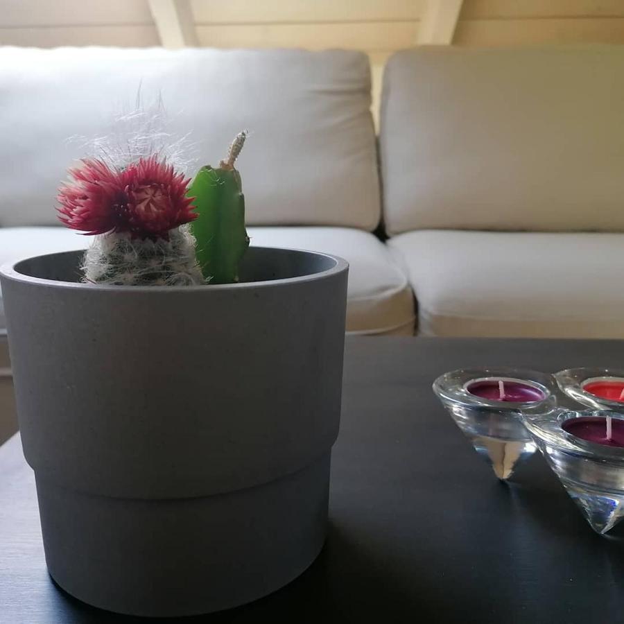 الشقق الفندقية Argostoli Loft المظهر الخارجي الصورة