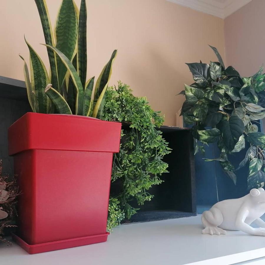الشقق الفندقية Argostoli Loft المظهر الخارجي الصورة